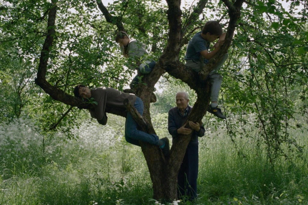 Svetska premijera filma&nbsp;&bdquo;Vetre, pričaj sa mnom&ldquo;&nbsp;Stefana Đorđevića na 54. Međunarodnom festivalu u Roterdamu
