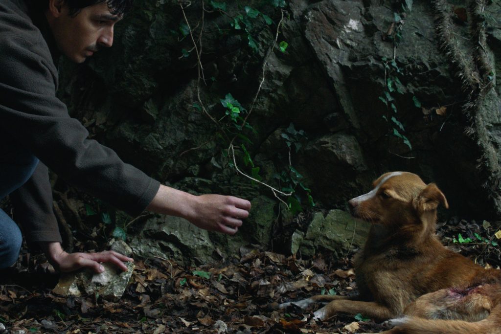 Objavljen trejler za film &bdquo;Vetre, pričaj sa mnom&ldquo; Stefana Đorđevića pred svetsku premijeru u Roterdamu