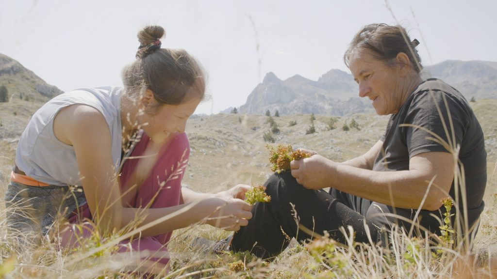 Film &bdquo;Planina&ldquo; otvorio takmičarski program dokumentarnog filma na 32. Sarajevo Film Festival-u