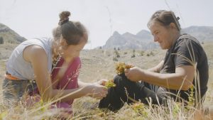 Film „Planina“ otvorio takmičarski program dokumentarnog filma na 32. Sarajevo Film Festival-u